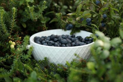 Wilde Blaubeere Tee